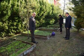 Doğa dostu anaokulu