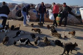 Karşıyaka'da kuşlar ve sokak hayvanları unutulmadı...