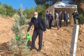 Dünya'ya nefes diyerek fidan diktiler...