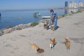 Karşıyaka'da can dostları düşünenler var...