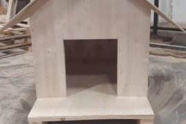 Karşıyaka’da can dostum, can evim projesi…