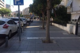 Şehitler Bulvarı'nda dutlar budandı