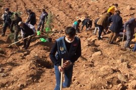 Dünya'ya nefes diyerek fidan diktiler...