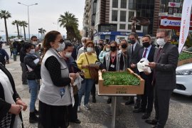 Karşıyakalı kadınlara 10 bin adet yerli malı fide…