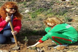 Bostanlıspor yanan alanı ağaçlandırıyor