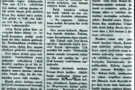 İttihad ve Terakki’nin 9 numaralı kurucu üyesi, Osmanlı Aydını: Tokadizade Şekip Bey