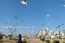 Karşıyaka'da kuşlar ve sokak hayvanları unutulmadı...