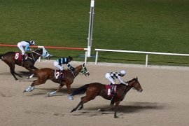 Hüseyin Özsakallı Kupasını Princess Di kazandı