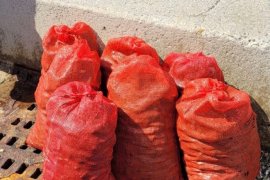 175 kilo kaçak midye yakalandı