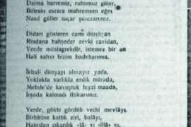 İttihad ve Terakki’nin 9 numaralı kurucu üyesi, Osmanlı Aydını: Tokadizade Şekip Bey