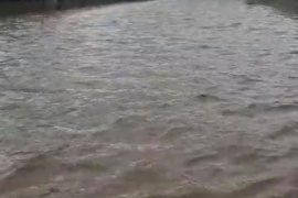 Karşıyaka'yı sel vurdu!