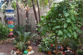 Karşıyaka'nın en güzel balkon ve bahçeleri seçildi