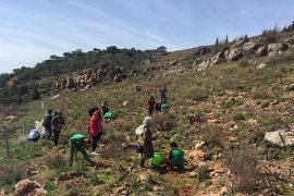 Bostanlıspor yanan alanı ağaçlandırıyor