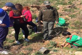 Bostanlıspor yanan alanı ağaçlandırıyor