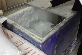 Karşıyaka Tarım Müdürlüğü halk sağlığı konusunda taviz vermiyor