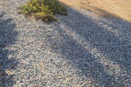 Karşıyaka Bilim Müzesi boşaltıldı...