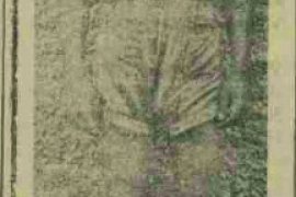 Atletizm'de Türkiye Şampiyonu: İbrahim Bey