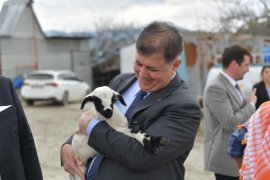 Tugay’dan rakibi Dağ’a: Siz ağaç görseniz elinize balta alırsınız