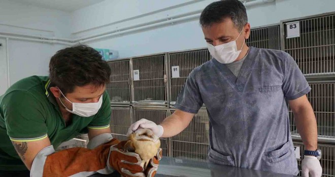 Konak’ta can dostlara eksiksiz hizmet