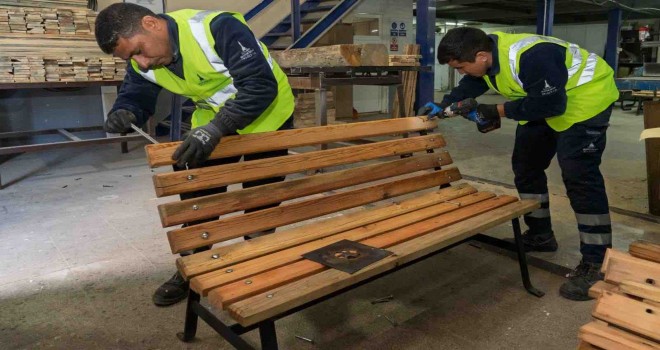 Budanan ağaçlar geri dönüştürülüyor