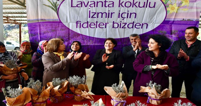 Büyükşehir 5 bin lavanta fidesi dağıttı