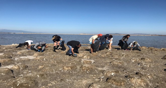 Kuş Cenneti Flamingolar için temizlendi