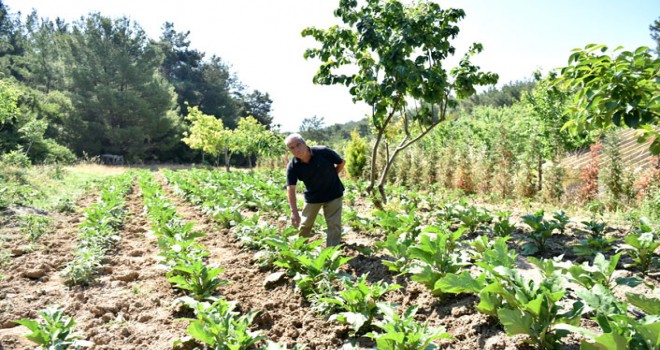 Bornovalı çiftçiye yerinde destek sürüyor
