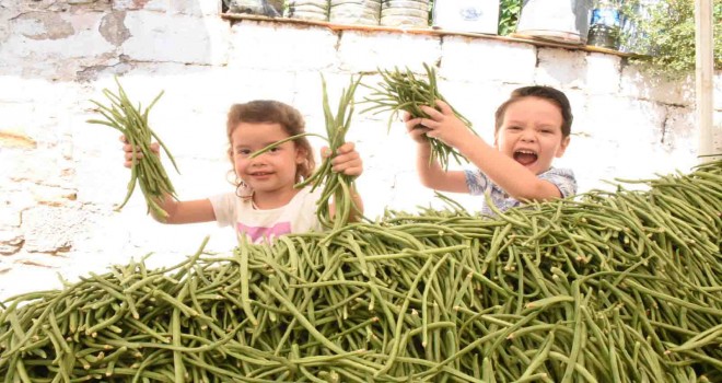 Karakızlar’da Börülce Festivali yapılacak