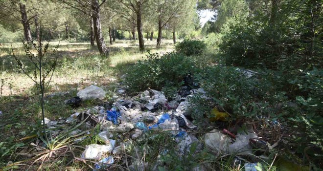 Torbalı'da vatandaşlar ormanı temizleyecek
