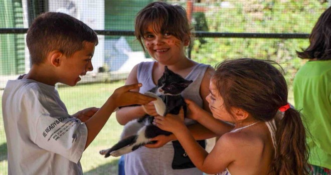 Karşıyaka, can dostlara sahip çıkıyor...