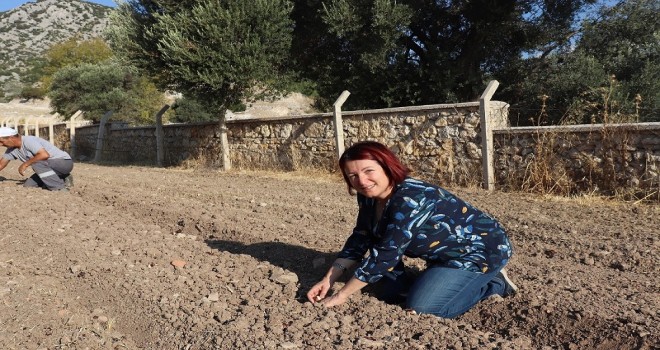 Karaburun’da yerli tohum ve doğru tarım dönemi