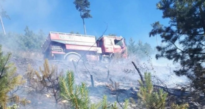 Karşıyaka'da ormanlık alanda yangın...
