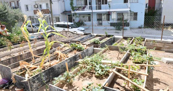 Çiğli’de dar gelirliler için kent bostanları kuruldu