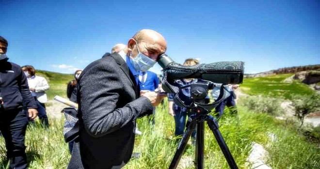 Şeytan Deresi’nde fidanlar boy vermeye başladı