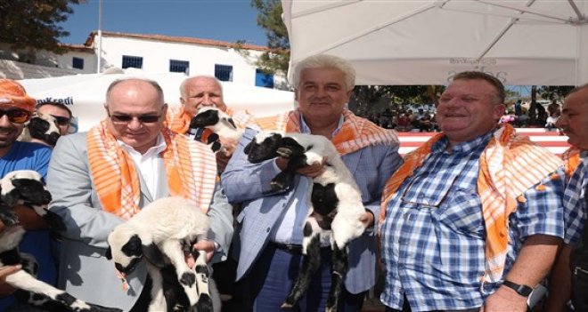 2. Ovacık Tarım ve Sakız Koyunu Şenliği heyecanı