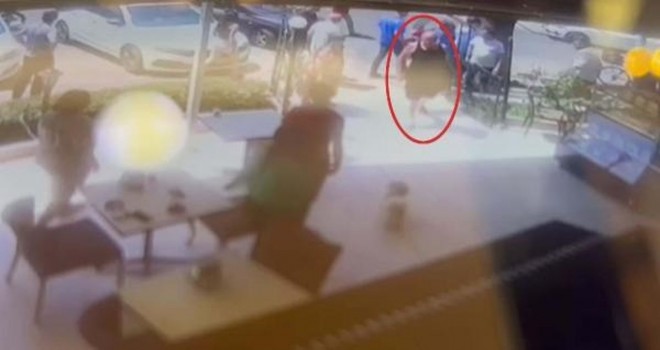 Karşıyaka'da köpeği öldüren kişiye hapis cezası istendi