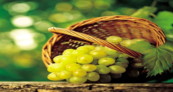 Kösedere Üzüm Şenliği’ne 12’inci kez merhaba