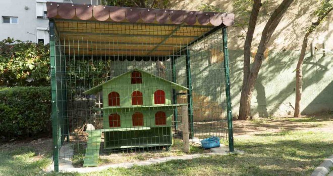 Karşıyaka'da ''KediYaka'' projesi hayata geçiyor