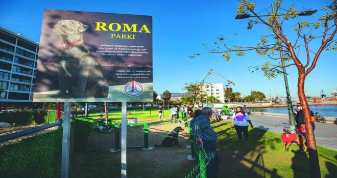 Roma’nın adı Alaybey’de yaşayacak