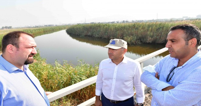 Başkan Gümrükçü koku sorunu için sahaya indi