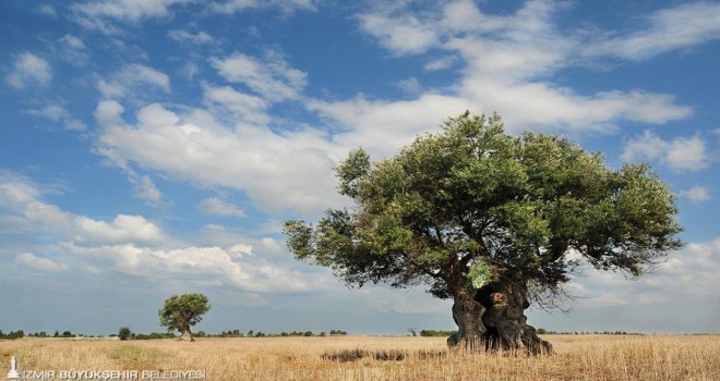 Herkes İçin Ekolojik Okuryazarlık Seminerleri başlıyor
