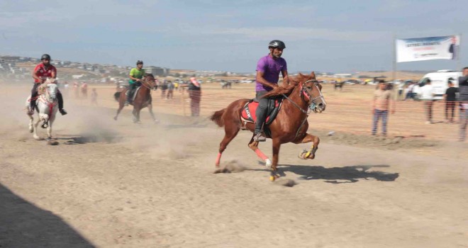 Türkiye'nin şampiyon atları Menemen'de yarıştı