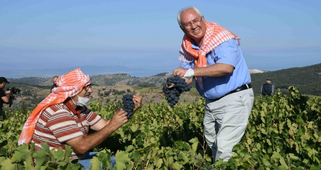 İzmirliler yeniden Kavacık Üzüm Festivali’nde buluşacak