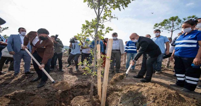 İzmir Büyükşehir Belediyesi'nden muhtarlar için fidan...
