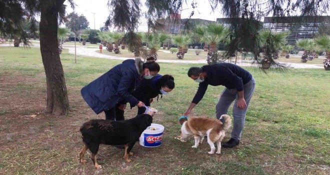 Kısıtlamada can dostlar yine unutulmadı