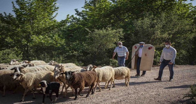 Tunç Soyer: Mera varsa hayat vardır