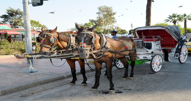 Faytonlar kaldırılıyor...