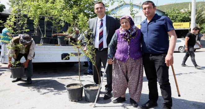 Bir yılda 10 bin meyve fidanı dağıtılacak