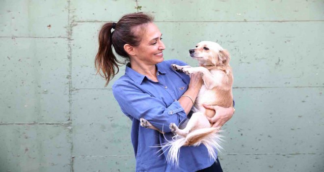 Karşıyaka'da 40 bin can dosta şefkat eli uzandı