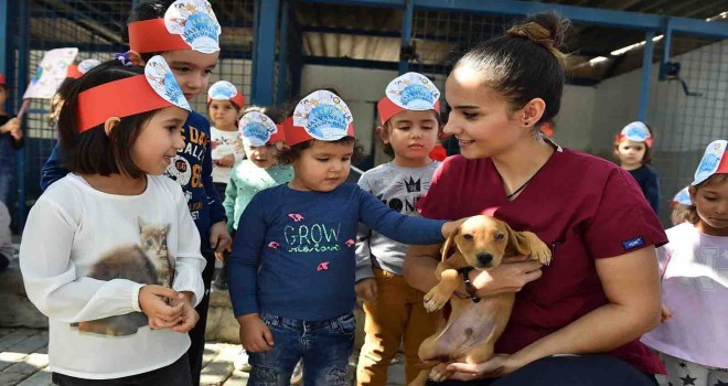 İzmir’de sokak hayvanları için büyük işbirliği